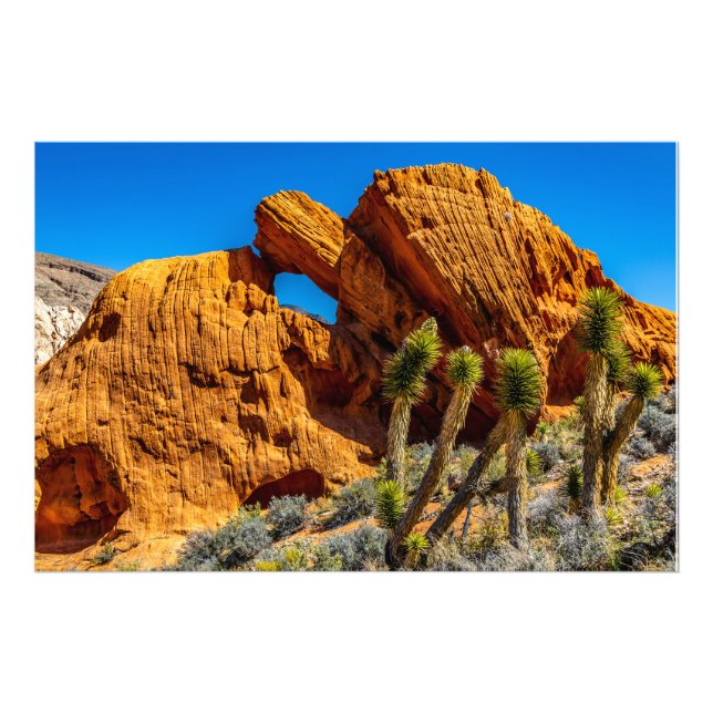 Impression Photo Kissing Turtle Rock (Devant)