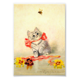 Impression Photo Kitten avec ruban rouge