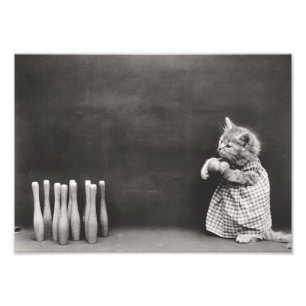 Impression Photo Kitten Bowling