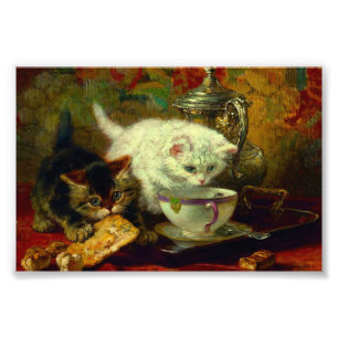 Impression Photo Kittens Tea Party
