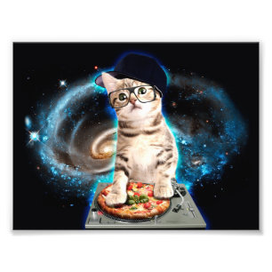 Impression Photo kitty dj cat