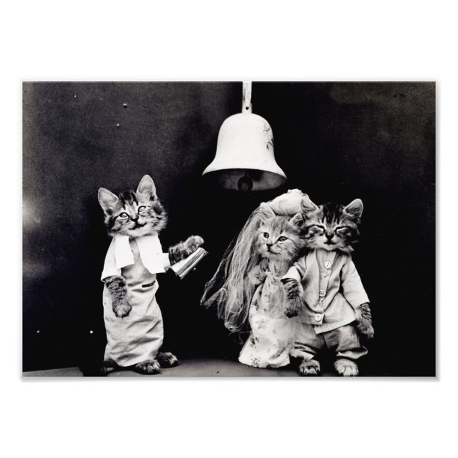 Impression Photo Kitty Mariage (Devant)