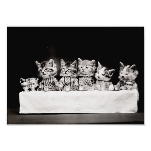 Impression Photo Kitty Tea Party