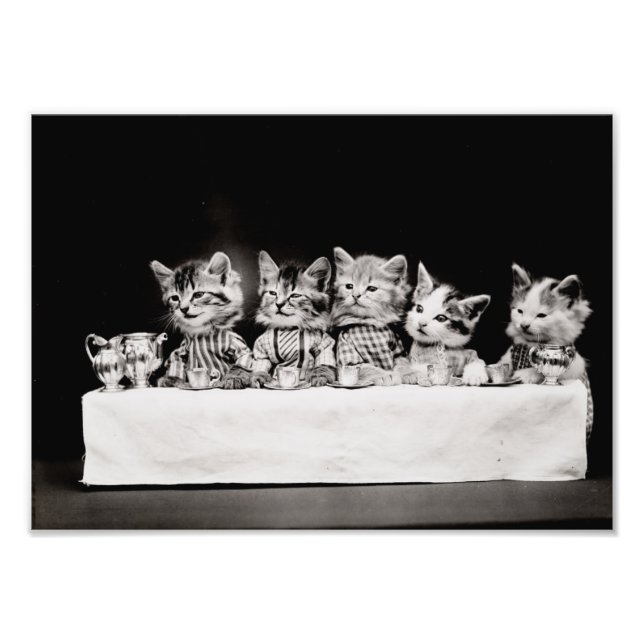 Impression Photo Kitty Tea Party (Devant)