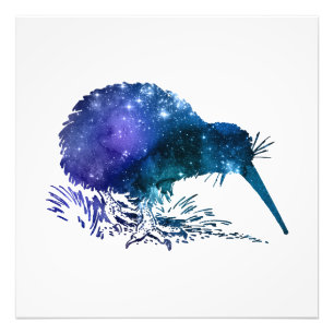 Impression Photo Kiwi Bird