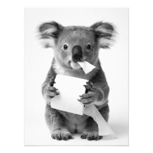 Impression Photo Koala Adorable Noir et Blanc Tenant du Papier Toil