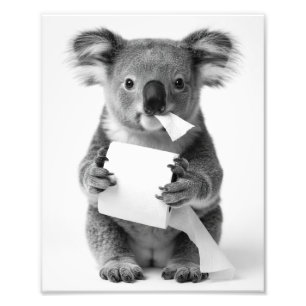 Impression Photo Koala Adorable Tenant de Papier Toilette Esthétiqu