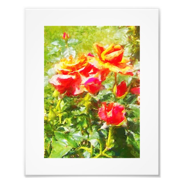 Impression Photo KODAK Imprimer Rose orange (Devant)