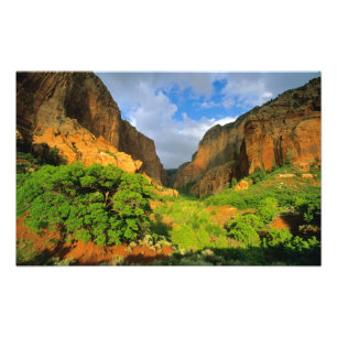 Impression Photo Kolob Canyon à Zion Canyon dans Zion National