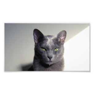 Impression Photo korat