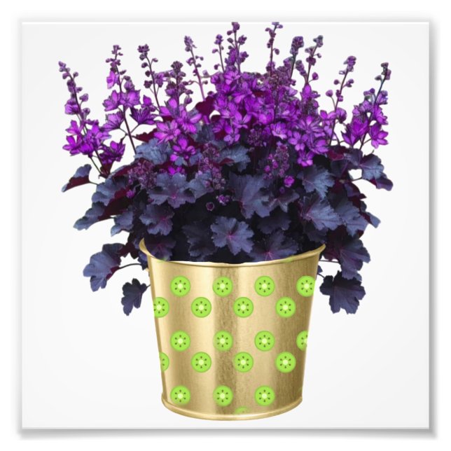 Impression Photo La beauté des plantes et des fleurs" Vocabu clé (Devant)