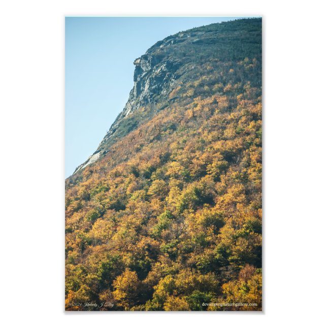 Impression Photo La couverture d'automne (Devant)