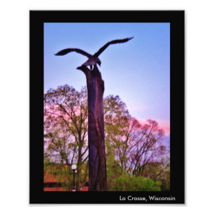 Impression Photo La Crosse Eagle