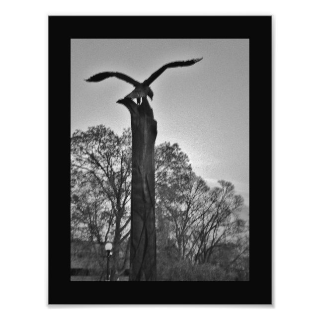 Impression Photo La Crosse Eagle (Devant)