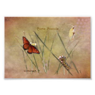 Impression Photo La Dame Peinte Média Mixte