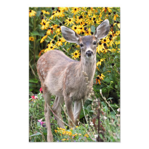 Impression Photo La faune des cerfs dans le jardin des fleurs