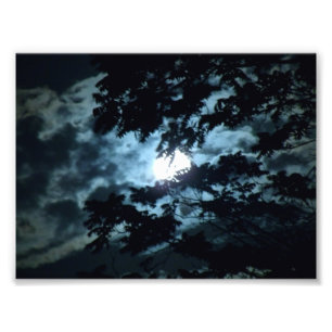 Impression Photo La Lune illumine la nuit derrière les branches des
