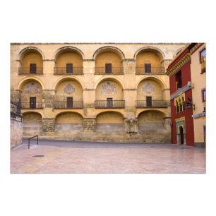 Impression Photo La Mezquita et Plaza del Triunfo à Cordoue