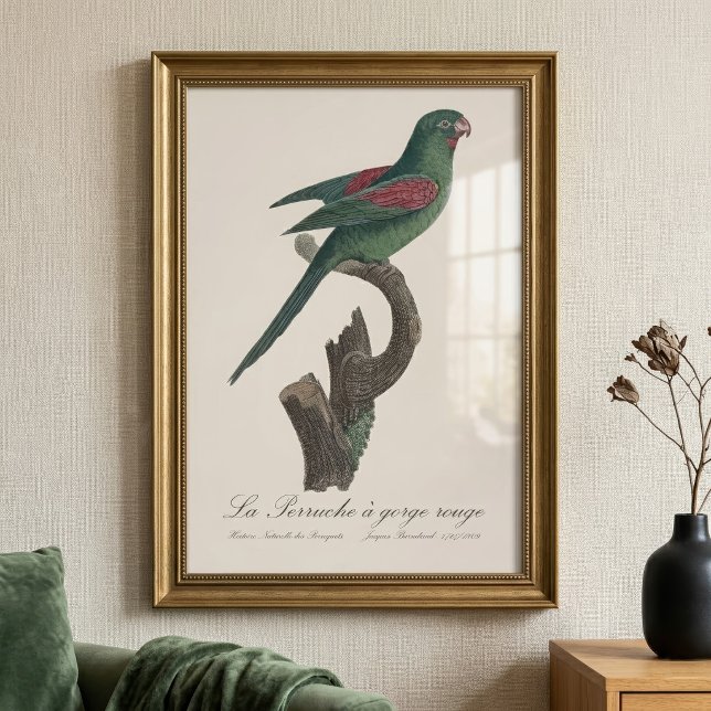 Impression Photo La Perruche à gorge rouge  (Orange-Chinned Parakeet, Brotogeris jugularis. Photo Print )