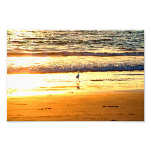 Impression Photo La plage d'El Porto Manhattan