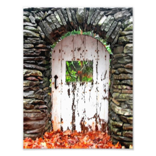Impression Photo La porte de forêt