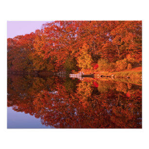 Impression Photo La réflexion de l'automne