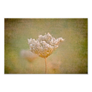 Impression Photo La reine