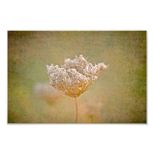 Impression Photo La reine (Devant)