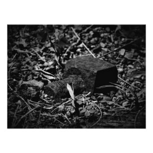 Impression Photo "La révérence des jours passés"