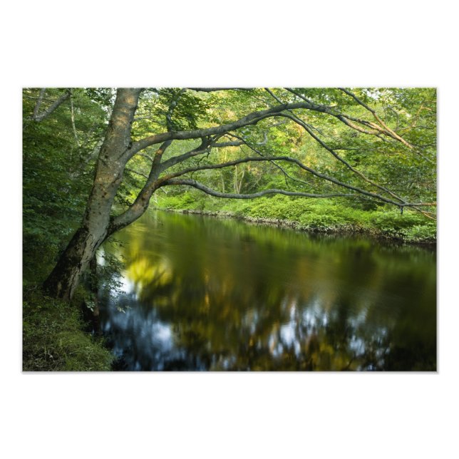 Impression Photo La rivière Taunton à Bridgewater, (Devant)
