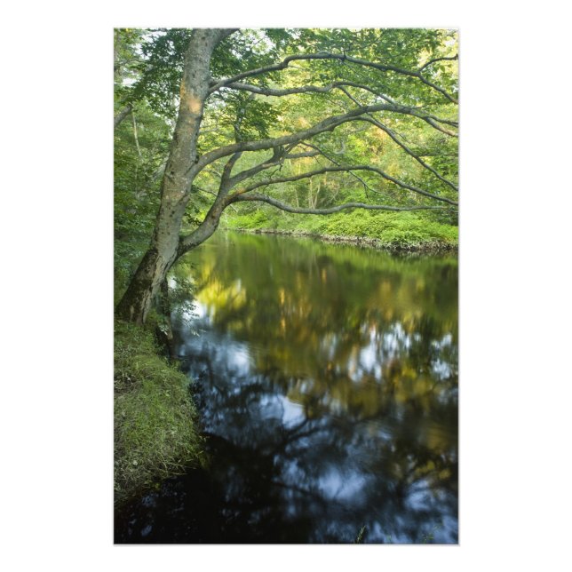 Impression Photo La rivière Taunton à Bridgewater, 2 (Devant)