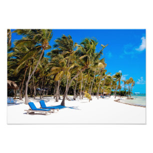 Impression Photo La station balnéaire The Moorings, Marathon, Key W
