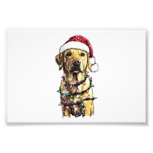 Impression Photo Labrador Retriever Chiens Arbre Sweat de Noël Xma