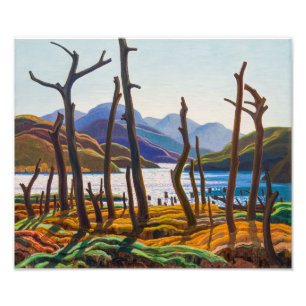 Impression Photo Lac aux canneberges Franklin Carmichael