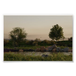 Impression Photo Lac Meadow
