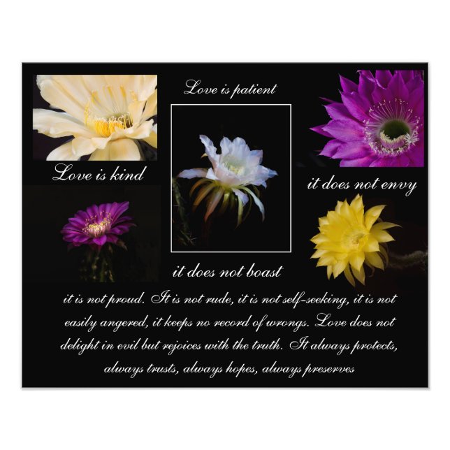 Impression Photo L'amour est Patient, l'amour est gentil fleur de C (Devant)