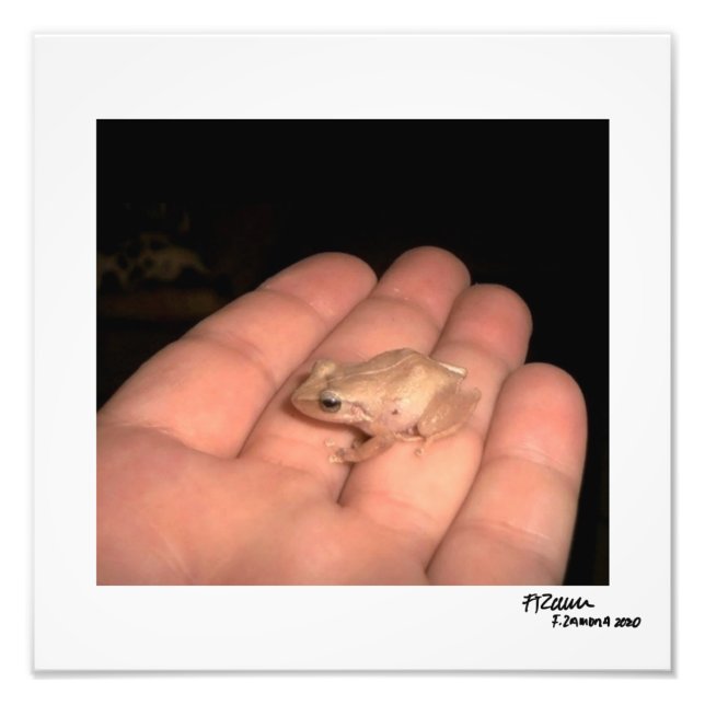 Impression Photo L'amphibien. (Devant)