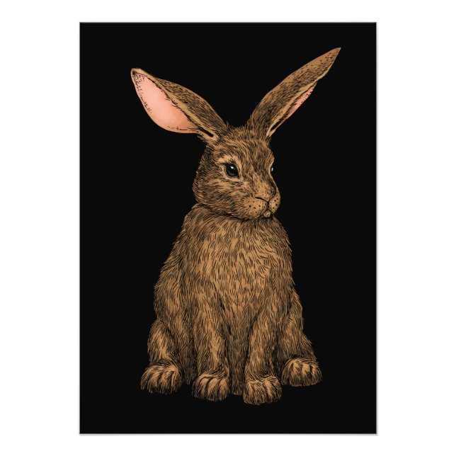 Impression Photo Lapin 3 (Devant)