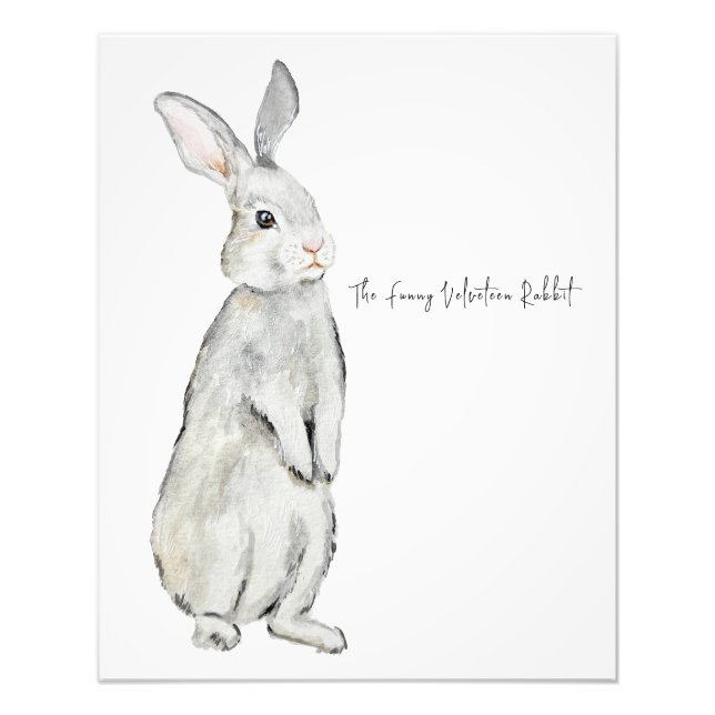 Impression Photo Lapin de velours drôle (Devant)