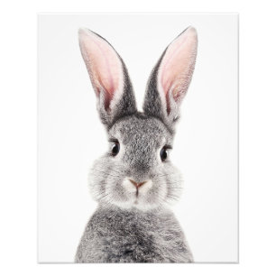 Impression Photo Lapin gris aux longues oreilles roses