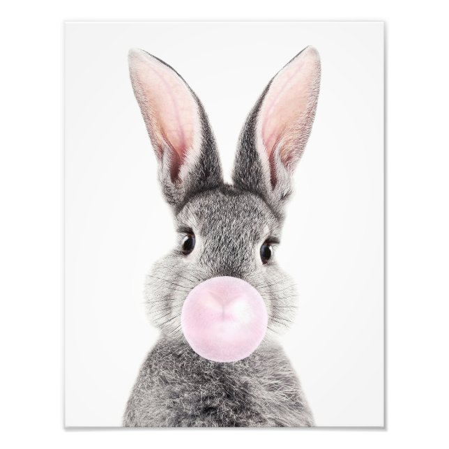 Impression Photo Lapin gris soufflant du bubble gum rose (Devant)