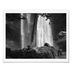 Impression Photo L'arbre tombe B&W