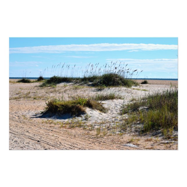 Impression Photo L'avoine marine sur la plage de l'océan (Devant)
