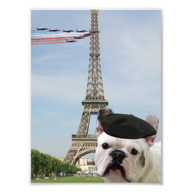 Impression Photo Le bulldog français à Paris (Devant)