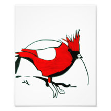 Le cardinal de Mike