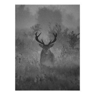 Impression Photo Le Cerf Dans La Mist