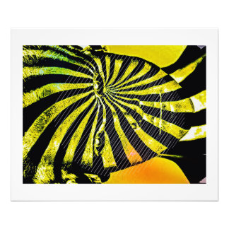 Impression Photo Le Changeling