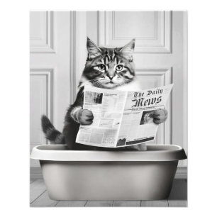 Impression Photo Le chat est assis sur les toilettes, le chat lit u