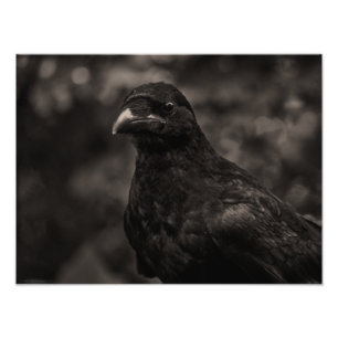 Impression Photo Le chercheur