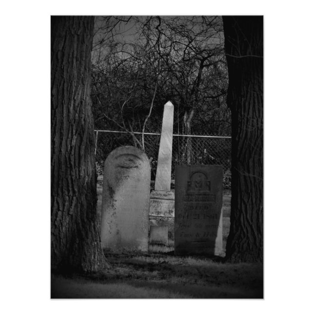 Impression Photo "Le curieux morbide" (Devant)